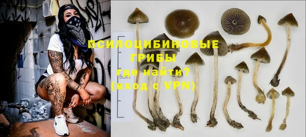 а пвп мука Абаза