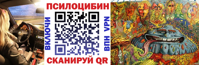 Галлюциногенные грибы Cubensis  omg зеркало  Протвино 